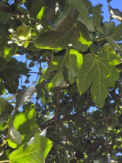 Casa en venta en Puchuncaví (Valparaíso)
